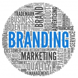 Branding & Logo